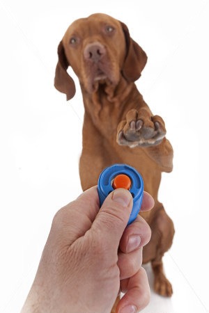 dog-clicker1