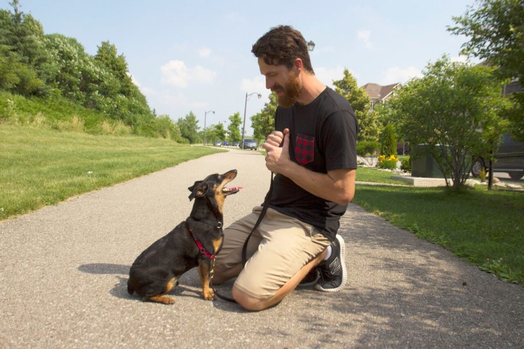  dog owner kneels beside their attentive dog, making eye contact during a training session, representing the personalized attention and connection offered by our dog training services.
